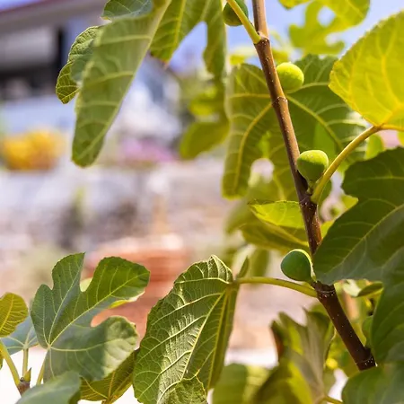 Agach Aparts-savran Villa Milas