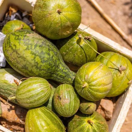 Agach Aparts-savran וילה