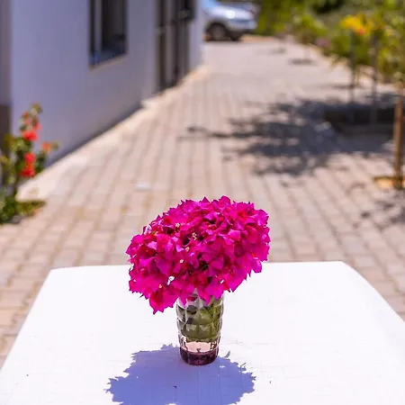 Agach Apartments-Milas-Bodrum Airport Bjv