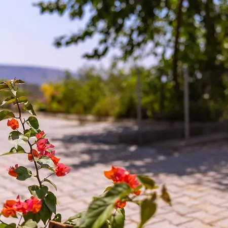 Villa Agach Apartments-Milas-Bodrum Airport Bjv Milas