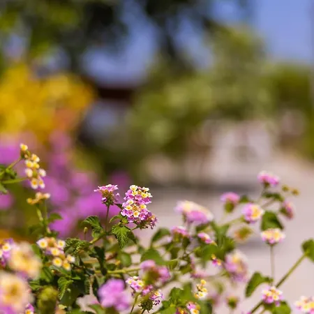 Agach Aparts-savran וילה Milas