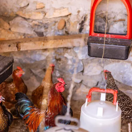 Villa Agach Aparts-savran Milas