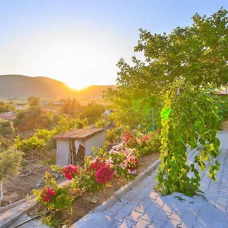 Agach Aparts-savran * Milas